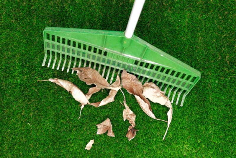 Artificial Grass Cleaning Brisbane