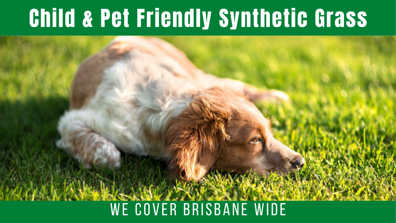 Pet Friendly Synthetic Grass