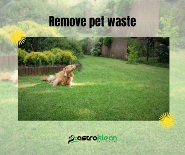 Remove pet waste