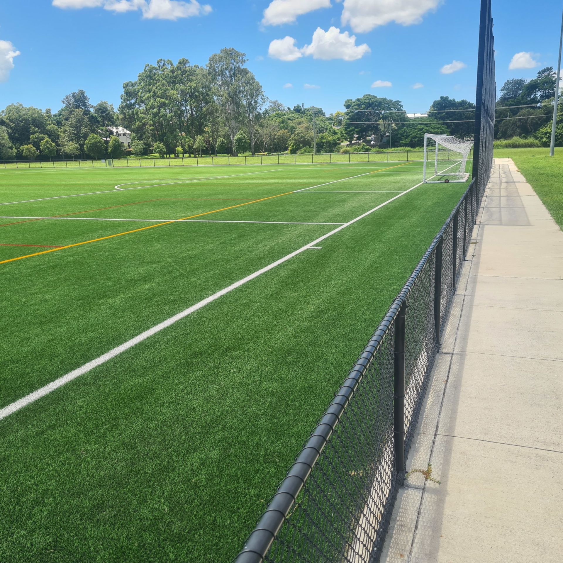 Professionally Cleaned Synthetic Grass in Mitchelton, Queensland
