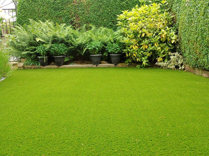 Astro Turf That's Excellent for Landscapes