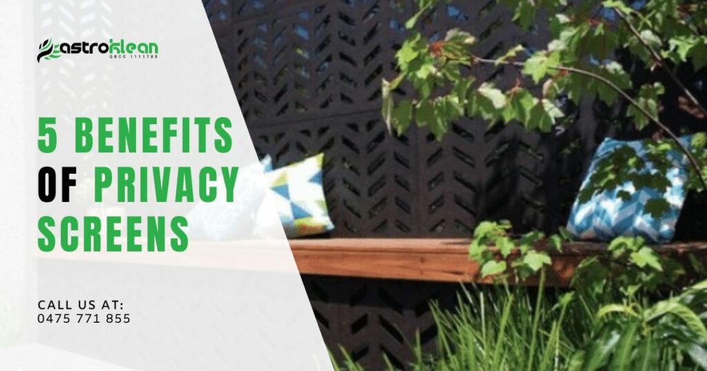 Benefits of Privacy Screens