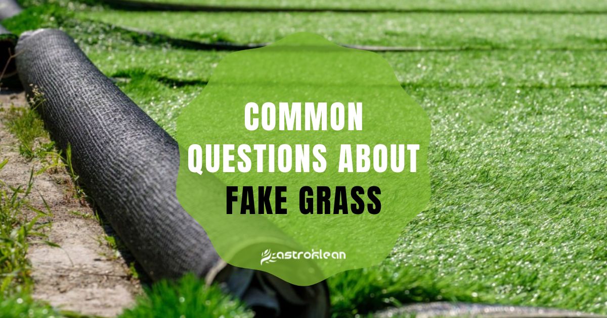 Common Questions About Fake Grass