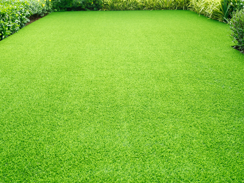 Astro Turf That’s Excellent for Landscapes